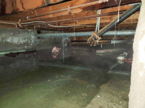Best Ceiling water damage repair  in , MI