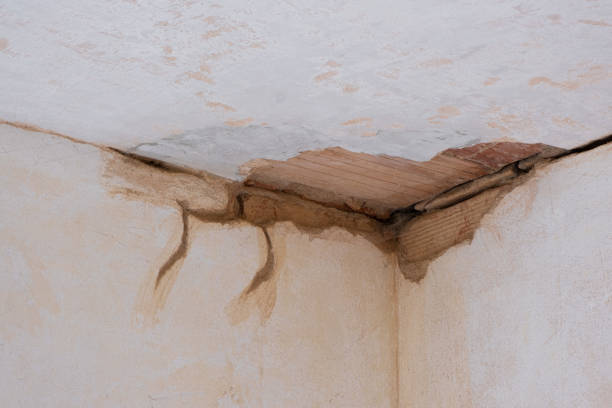 Best Fire Damage Restoration  in , MI