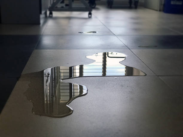 Best Carpet water damage restoration  in , MI