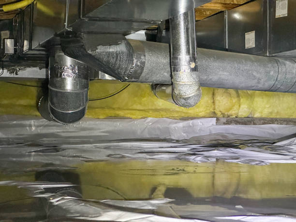 Best Water damage cleanup near me  in , MI