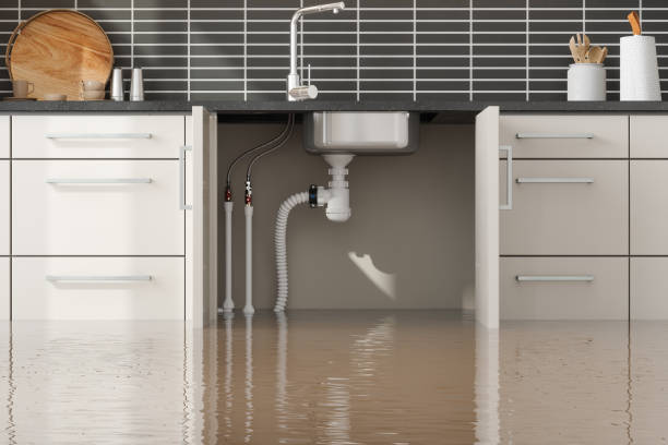 Best Basement water damage restoration  in , MI