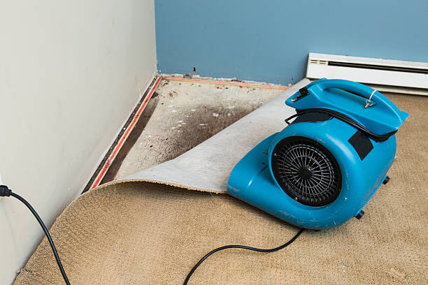 Best Emergency water damage restoration  in , MI